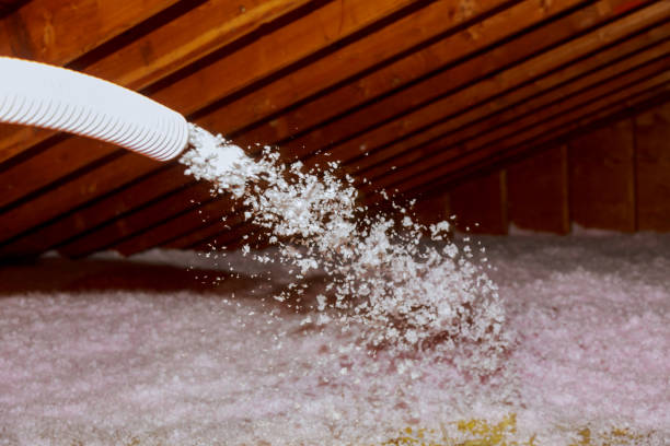 Best Insulation Contractor Near Me  in Selinsgrove, PA