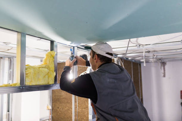 Best Local Insulation Services  in Selinsgrove, PA