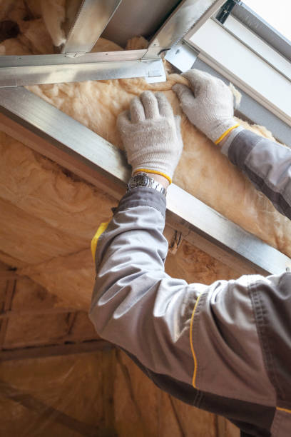 Best Wall Insulation Contractor  in Selinsgrove, PA