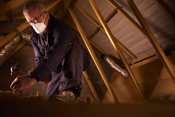 Best Insulation Removal  in Selinsgrove, PA